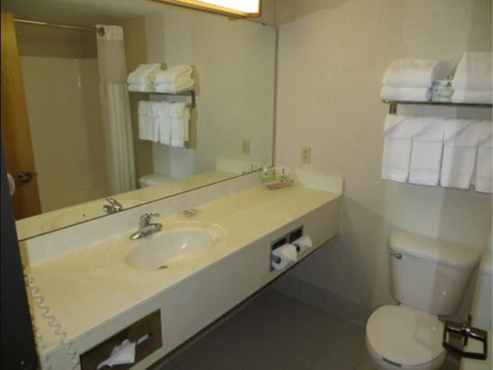 Country Inn & Suites By Radisson, Lansing, Mi Esterno foto